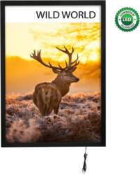 Magnetic illuminated frame A1