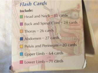 Netter` Anatomy Flash Cards Using the