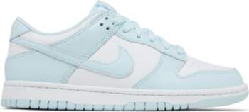 Nike Dunk Low Grade School `Glacier