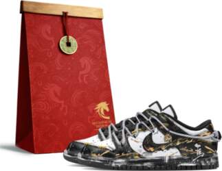 Nike Dunk Low Retro Mechanical Magic