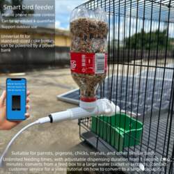 Parrot bird feeder mobile phone control