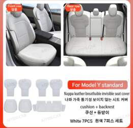 Priekš Tesla Model Y Standard 2026