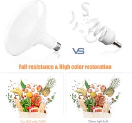 Professional Studio Photography Softbox LED Light