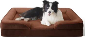 Soft Sponge Dog Bed Small Medium
