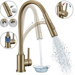 Standing Flexible Kitchen Sink Faucet 2-Function