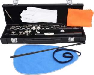 Student Beginner Black Flute - 16-Hole