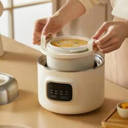 1L Electric Stew Pot Multifunctional Household
