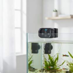 Automatic Water Refiller with Temperature Display