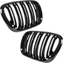 BMW X5 E53 99-03 Grill Trim
