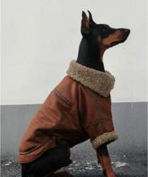 BXX Fleece Lined Dog Lapel Leather