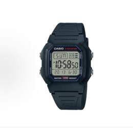CASIO Customized watch modified series spring