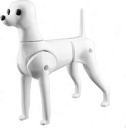 Dog Grooming Training Model Versatile Pet