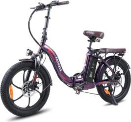 FAFREES F20 Pro Electric Bicycle Foldable