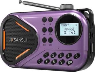 FM Radio Portable Multi-function Card Audio