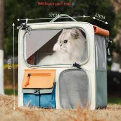Good-looking Kitten Transport Case with Pull