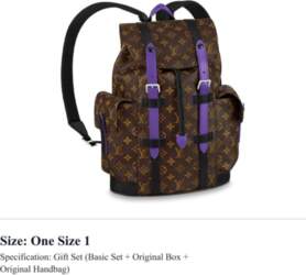 LOUIS VUITTON CHRISTOPHER Canvas With Leather
