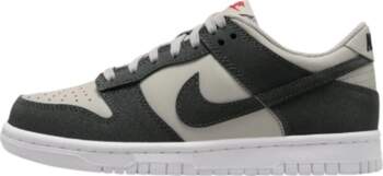 Nike Dunk Low GS Light Iron