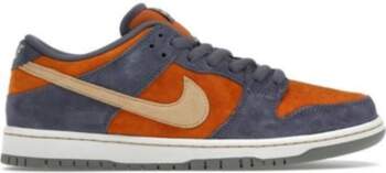 Nike Dunk SB Low Light Carbon