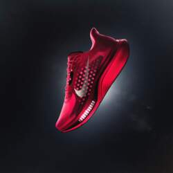 Nike Pegasus Plus 2 `Flash Crimson`