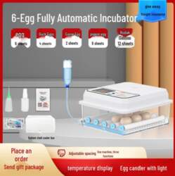 Smart Mini Egg Incubator: Fully Automatic