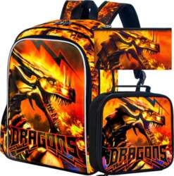 3Pcs Boys Backpack, 16 Boy School