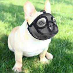 Dog Muzzle With Short Snout Adjustable
