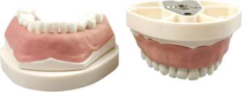 Kids Deciduous Teeth Practice Model With