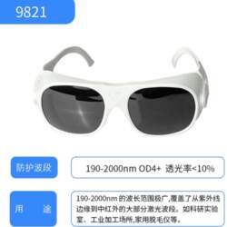 Large-frame laser protective goggles that fit