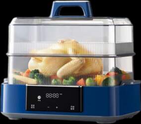 morphy richards steamer