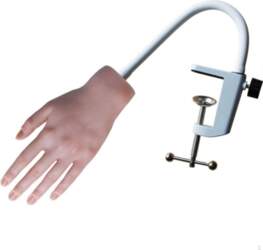 Nail Practice Hand with Stand Hands