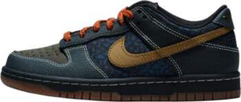 Nike Dunk Low GS Take The