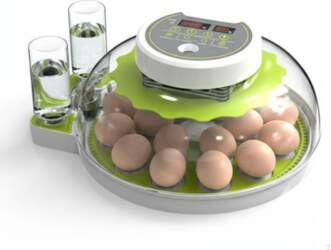 Ovum Incubator, Automatic Temperature & Humidity
