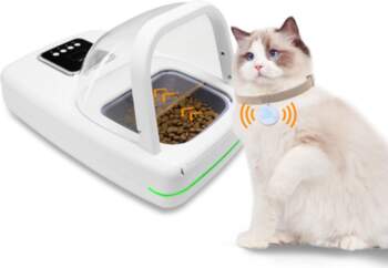 Pet Smart Chip Automatic Induction Feeder