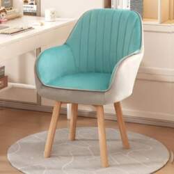Plastic Computer Chair Lumbar Support Backrest