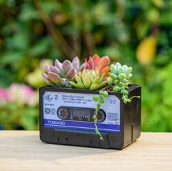 Retro Cassette Tape Shaped Small Flower