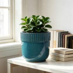 Single Handmade Ceramic Planter (diameter 30
