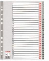 Divider Esselte PP, A4, numbers 1-31