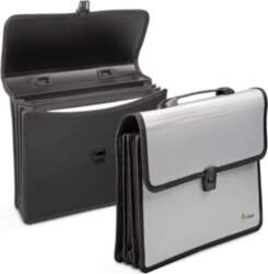 Folder-portfolio Forpus, A4, silver, 3 compartments