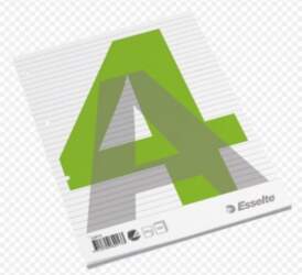 Notebook, removable pages, Esselte, A4/100, lined