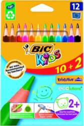 BIC Colored pencils EVOLUTION TRIANGLE 12