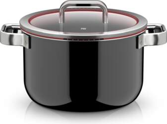 WMF Katls ar vāku Fusiontec Function