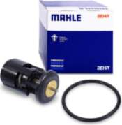 BEHR TX 41 87D Ūdens termostats