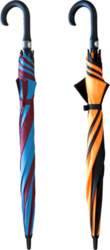 BESK Lietussargs