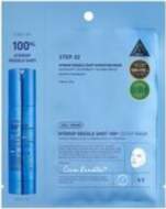100 hL 2Step Hydrogel Mask 33