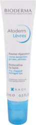 Levres 15 ml