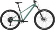 CANNONDALE HABIT HT 3