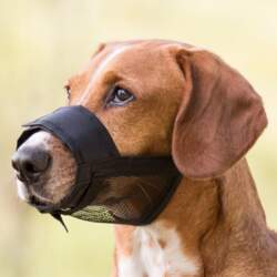 Trixie Muzzle, Nylon. Size S-M, Snoup