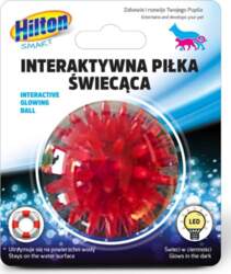 Hilton Interactive Glowing Ball For Cat