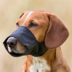 Trixie Muzzle, Nylon. Size M -