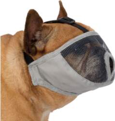 Trixie Muzzle for short-nosed breeds, polyester